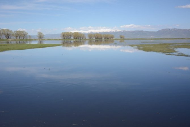 Erzurum ovası göle dönüştü