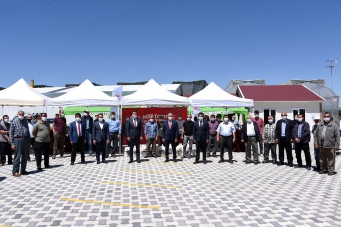 Konya'da üreticiye yerli susam tohumu desteği