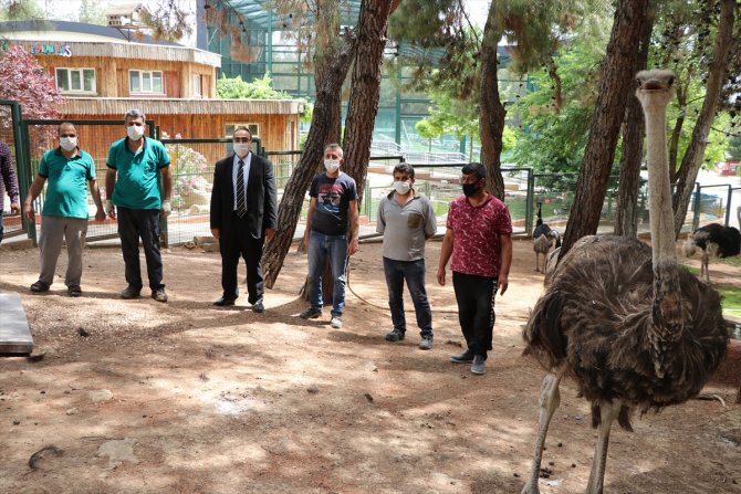 Gaziantep Hayvanat Bahçesine 200 yeni üye