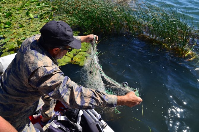 Doğa gönüllüsü, Beşgöz Gölü'ndeki kaçak balık ağlarını imha ediyor