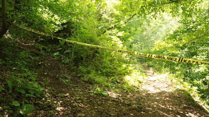 Yalova'da ormanda cesedi bulunan kişinin ev arkadaşı tutuklandı