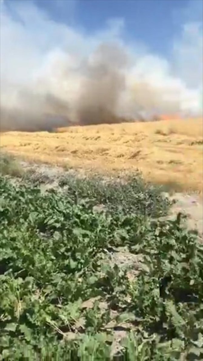 Karapınar'da tarım arazisinde yangın