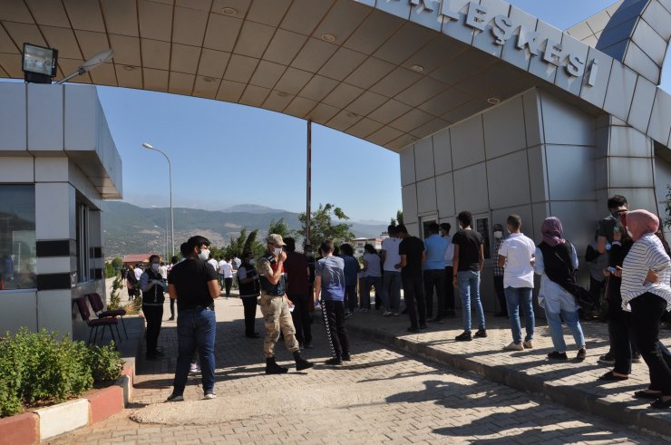 Rüzgarın uçurduğu YKS giriş belgesi ağacın dalına takıldı