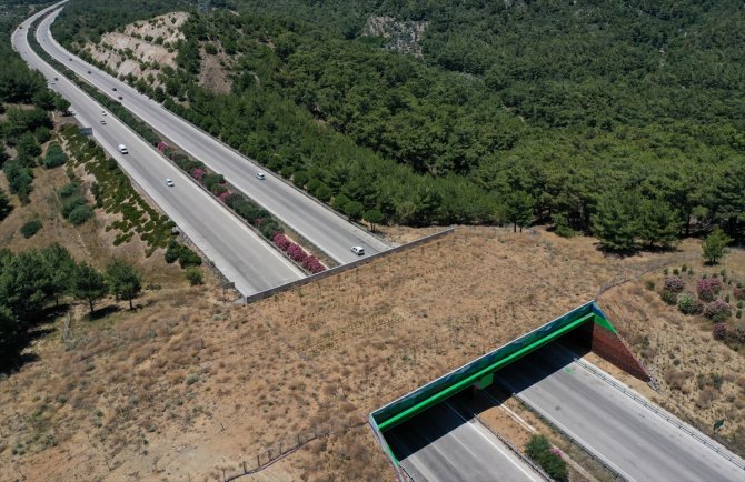 İzmir-Çeşme Otoyolu üzerindeki "ekolojik köprünün" yapımı tamamlandı