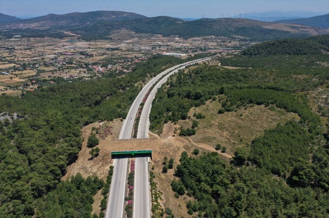 İzmir-Çeşme Otoyolu üzerindeki "ekolojik köprünün" yapımı tamamlandı