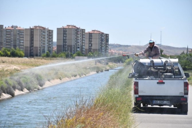 Aksaray Belediyesi larva ve haşerelere karşı ilaçlama yapıyor