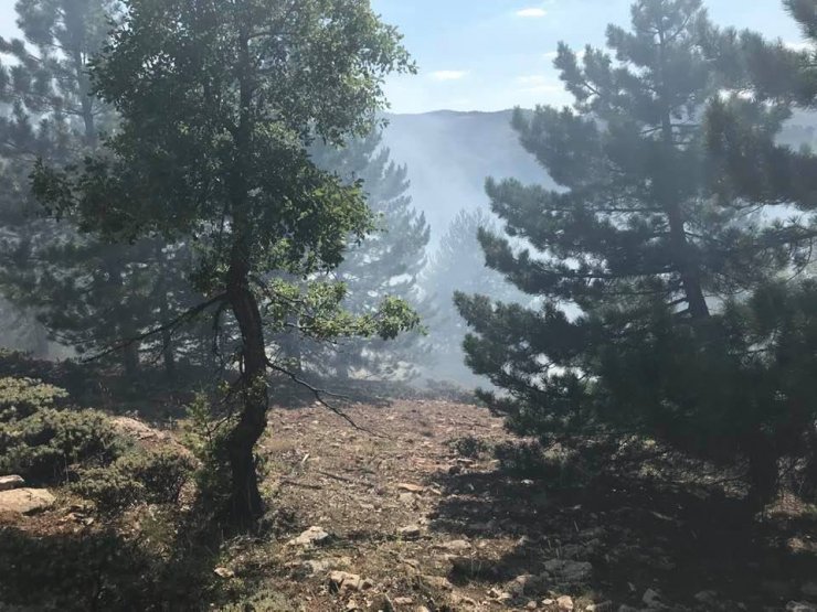 Konya'da ormanlık alanda çıkan yangında 2 hektarlık alan zarar gördü