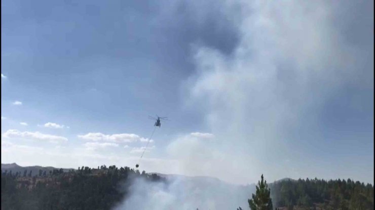 Konya'da ormanlık alanda çıkan yangında 2 hektarlık alan zarar gördü