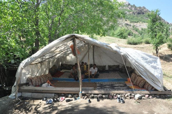 11 kişilik ailenin çadırda yaşam mücadelesi
