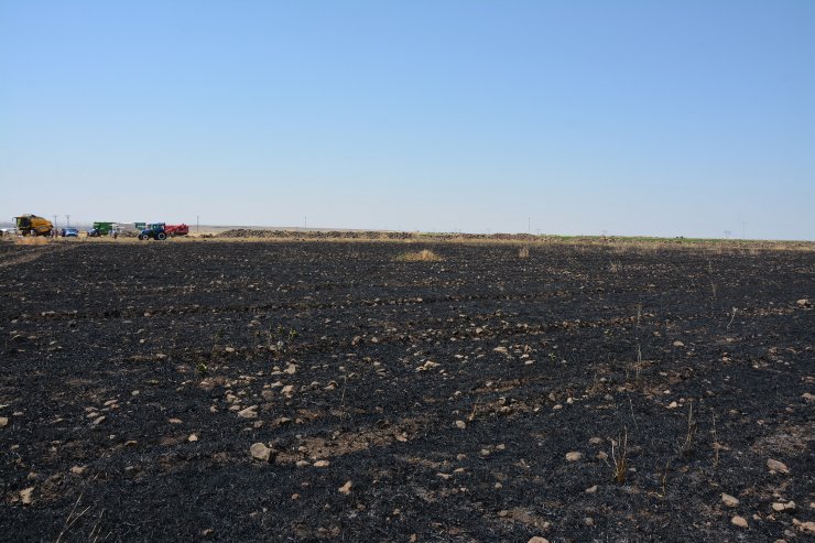 40 dönüm buğday ekili alan yandı