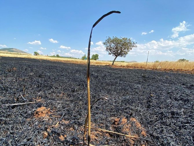 Konya'da ekin yangını, mahsuller zarar gördü