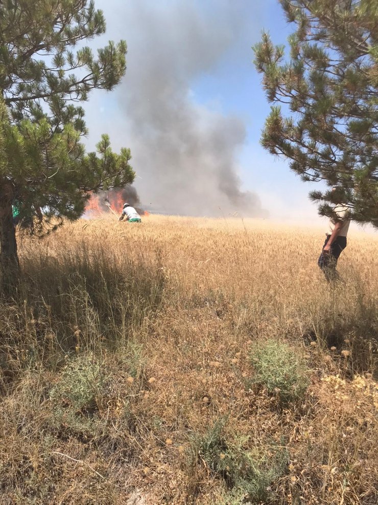 Konya'da buğday ekili 45 dekar alan yangında zarar gördü