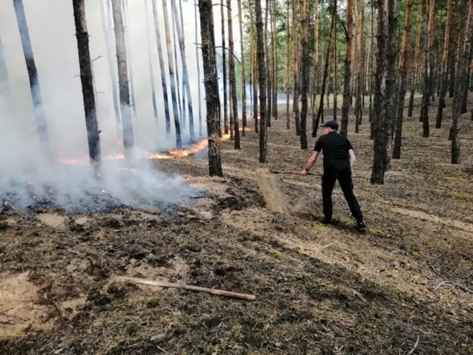 Ukrayna’da korkutan orman yangını: 4 ölü