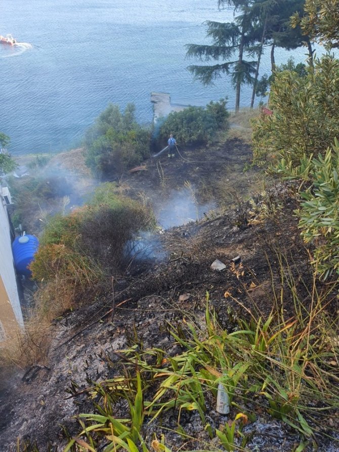 Bursa’da yangın...Çamlar yanmadan söndürüldü