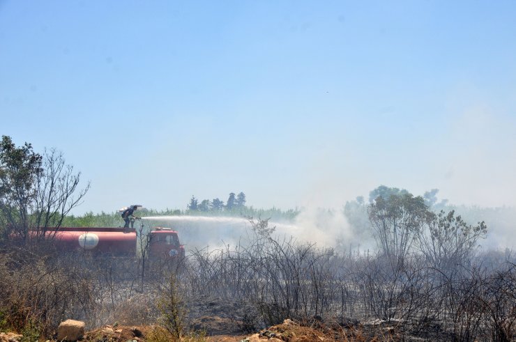 Antalya'da çalı ve makilik yangını; 10 dönüm alan kül oldu
