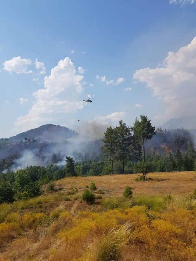 Denizli’de orman yangını 3 helikopterle kontrol altına alındı