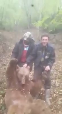 Vurdukları ayıyı yumruklayan avcılar, kamerada