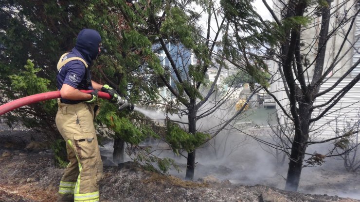 Silivri'de hastanenin yanındaki tarlada çıkan yangın paniğe neden oldu