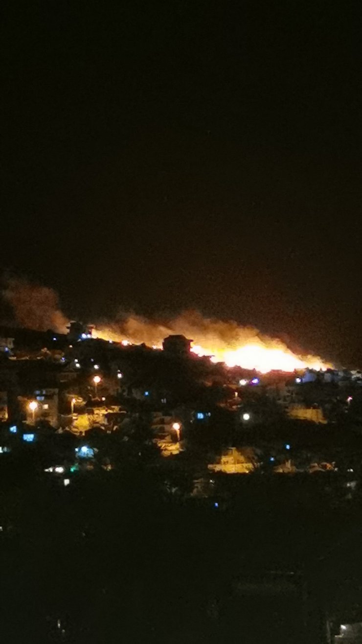 İzmir'de makilik alanda yangın 