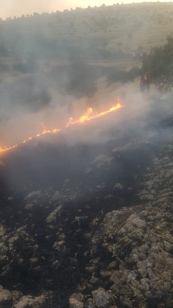Mardin’de ağaçlık alanda yangın