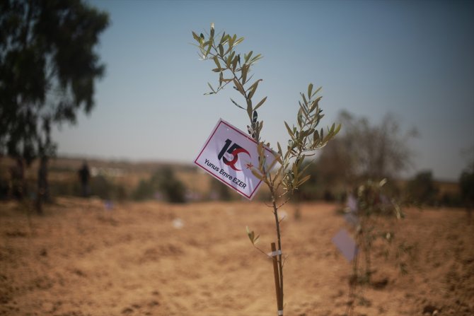 Gazzeli çocuklar, 15 Temmuz şehitleri anısına zeytin fidanı dikti