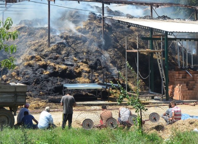 25 hayvan telef oldu, yanan çiftliği çaresizce izlediler