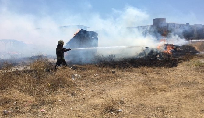 İzmir’de korkutan otluk alan yangını