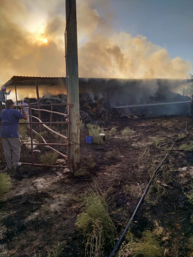 Karaman'daki yangında 3 bin saman balyası yandı
