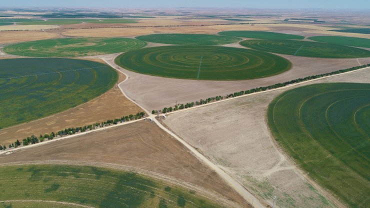 Center Pivot Robotik Sulama Sistemi’ne göre ekili dairesel tarlalarda su tasarrufu