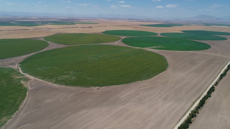 Center Pivot Robotik Sulama Sistemi’ne göre ekili dairesel tarlalarda su tasarrufu