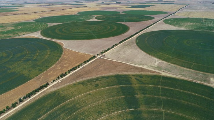 Center Pivot Robotik Sulama Sistemi’ne göre ekili dairesel tarlalarda su tasarrufu
