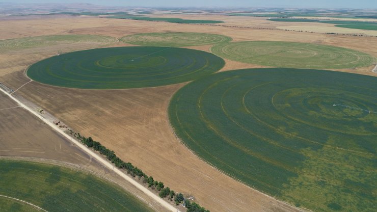 Center Pivot Robotik Sulama Sistemi’ne göre ekili dairesel tarlalarda su tasarrufu