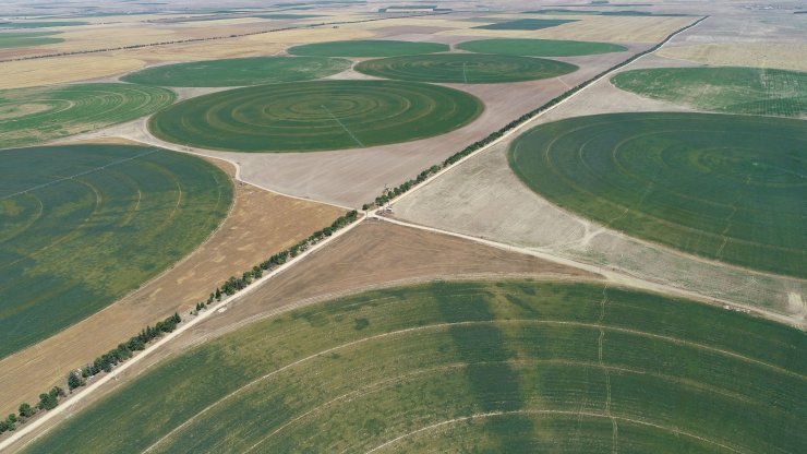 Center Pivot Robotik Sulama Sistemi’ne göre ekili dairesel tarlalarda su tasarrufu