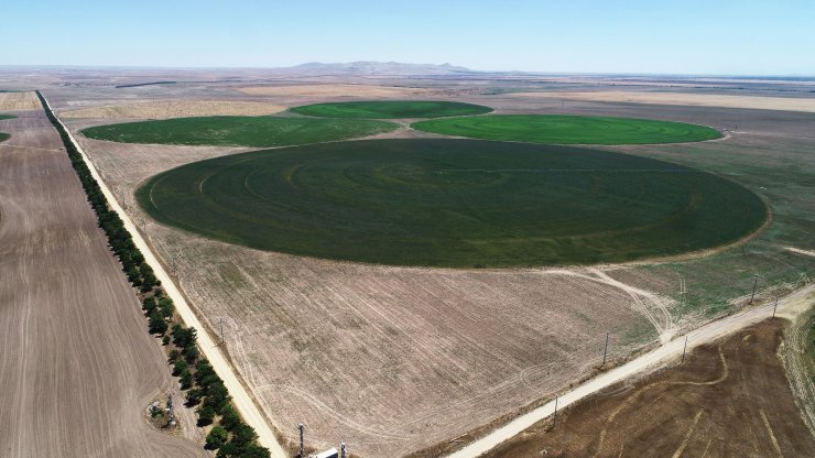 Center Pivot Robotik Sulama Sistemi’ne göre ekili dairesel tarlalarda su tasarrufu