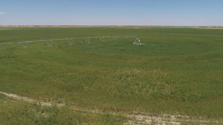 Center Pivot Robotik Sulama Sistemi’ne göre ekili dairesel tarlalarda su tasarrufu