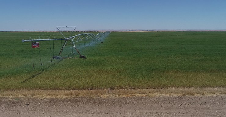 Center Pivot Robotik Sulama Sistemi’ne göre ekili dairesel tarlalarda su tasarrufu