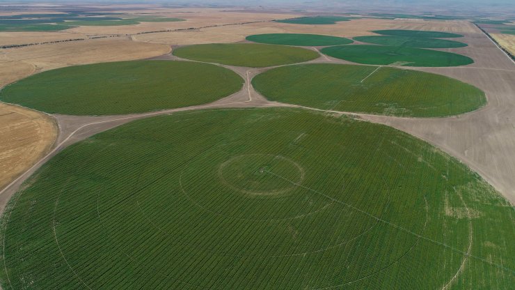 Center Pivot Robotik Sulama Sistemi’ne göre ekili dairesel tarlalarda su tasarrufu