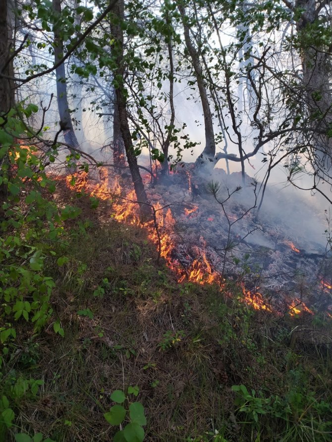 Örtü yangınında 3 hektarlık alan zarar gördü