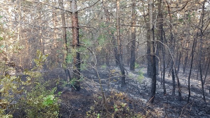 Örtü yangınında 3 hektarlık alan zarar gördü