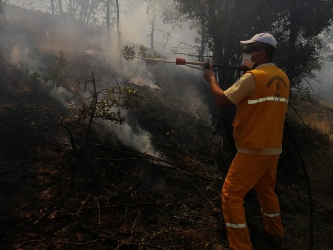 Siirt'in Baykan ilçesinde çıkan orman yangını kontrol altına alındı