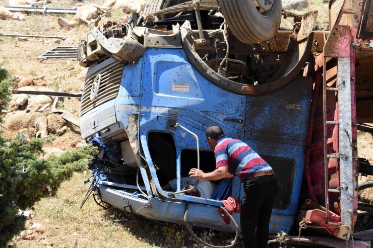 Konya'da kurbanlık yüklü kamyon şarampole devrildi: 3 yaralı