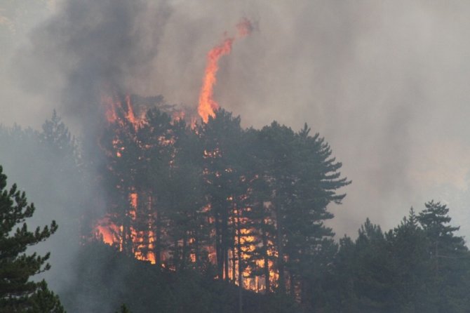 Konya’da çıkan orman yangını kontrol altına alınamıyor