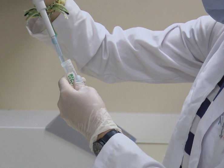Kovid 19'da aşı müjdesi Ankara'dan geldi; İnsan denemelerine başlanacak
