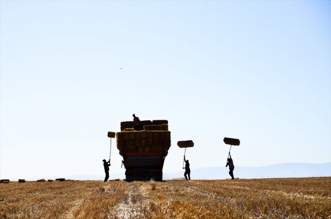 Konya Ovası'nda balya işçilerinin zorlu ekmek mücadelesi