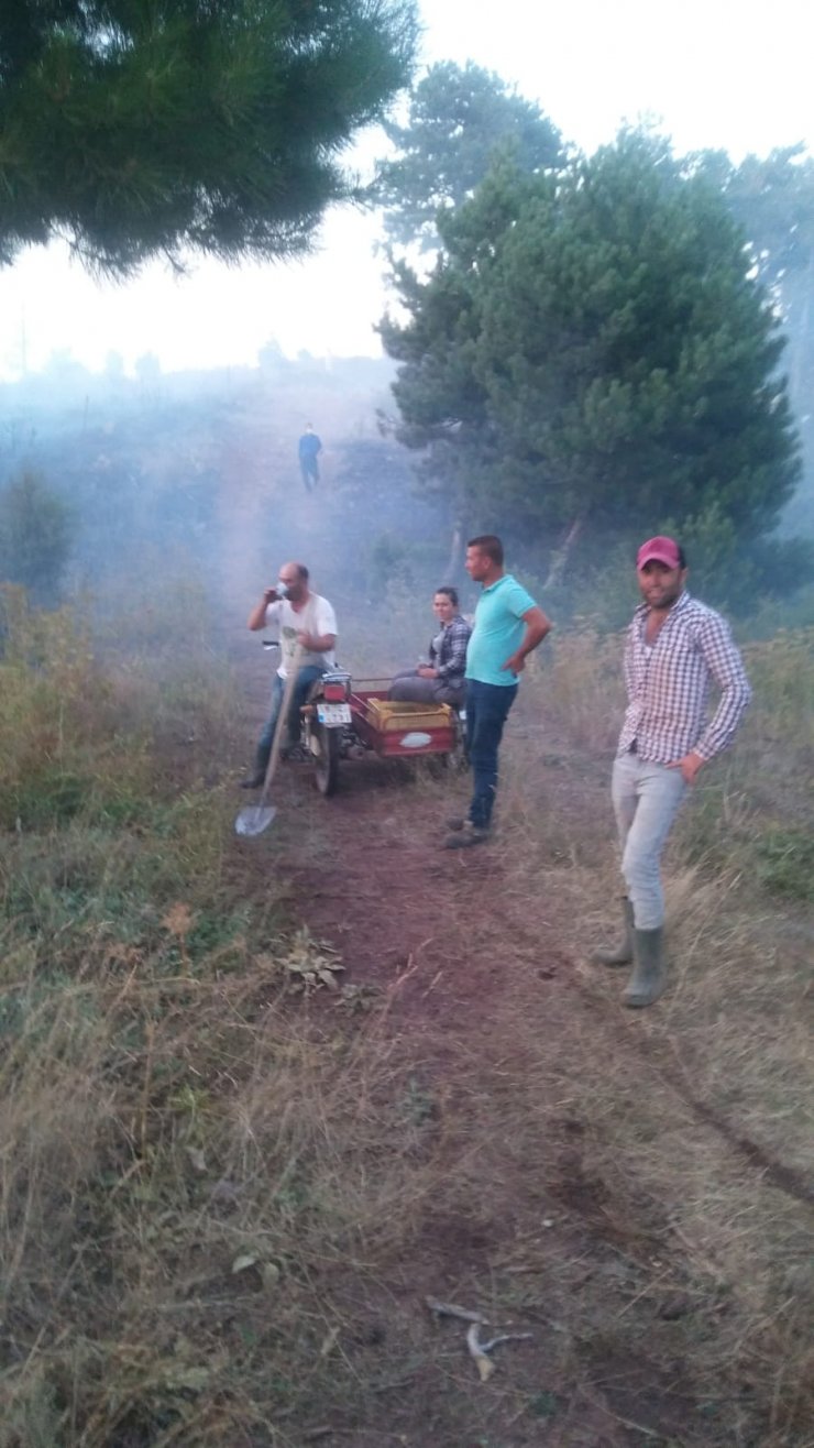 Alaşehir'de orman yangını 1 saatte söndürüldü