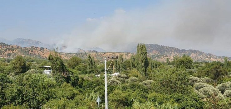 Aydın'da tarım arazisinde yangın