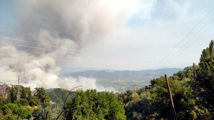 Aydın'da tarım arazisinde yangın
