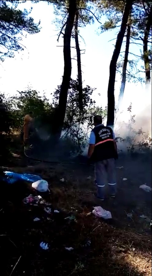 Belediye işçilerinin dikkati, orman yangınını önledi