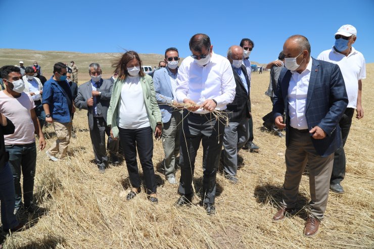 Doludan zarar gören çiftçilere Sivas Valisi'nden destek sözü