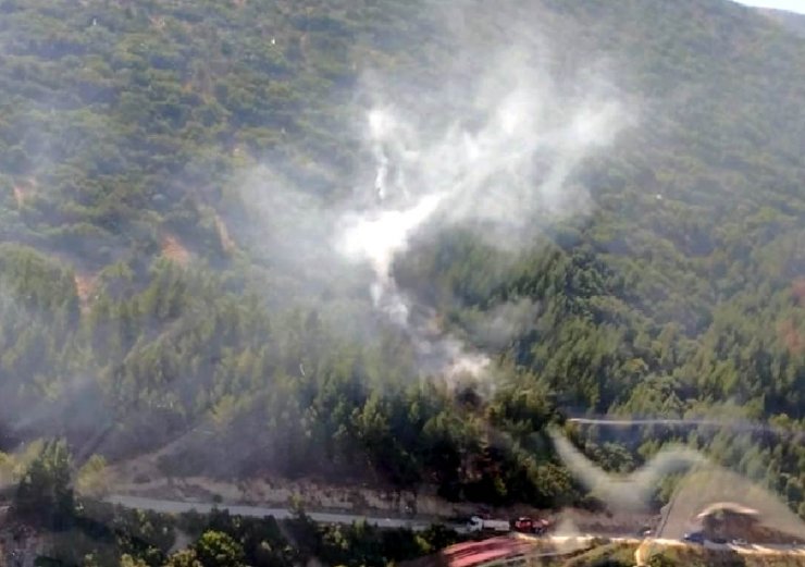 Kahramanmaraş'ta 2 hektarlık ormanlık alan yandı